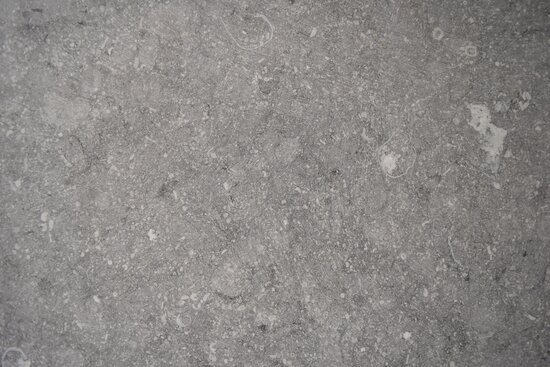 Belgisch blauw grijs geschuurd/gezaagd Natuursteen terrastegels