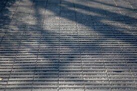 Grasslines big carbon